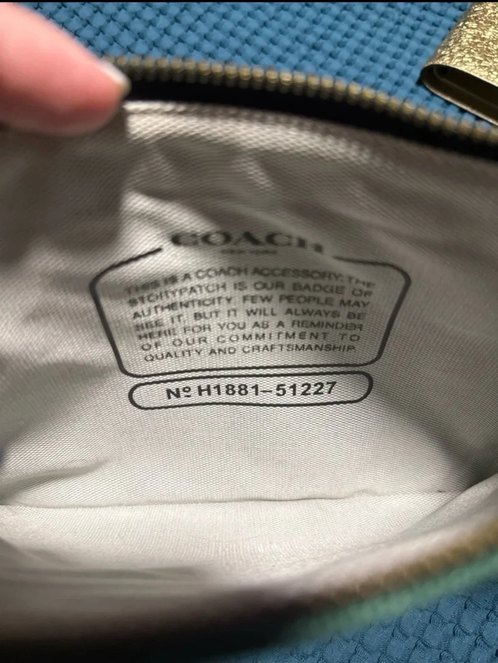 Coach Rexy green pouch